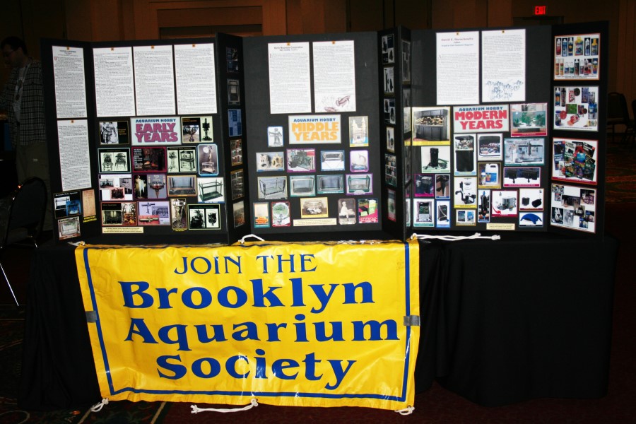 announcements brooklyn aquarium society
