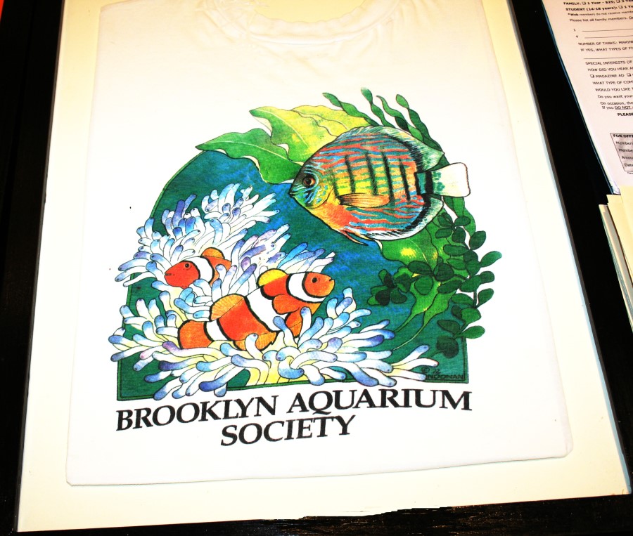 announcements brooklyn aquarium society
