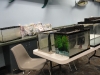 bas-event-april-2012-002