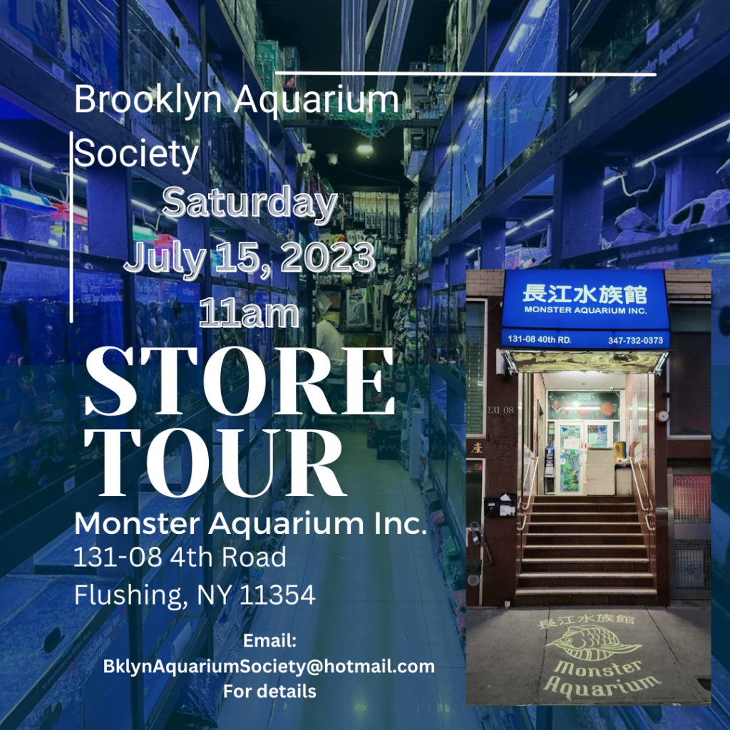 BROOKLYN AQUARIUM SOCIETY EDUCATING AQUARISTS SINCE 1911